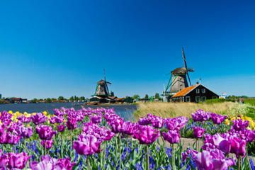 Visitas desde Ámsterdam