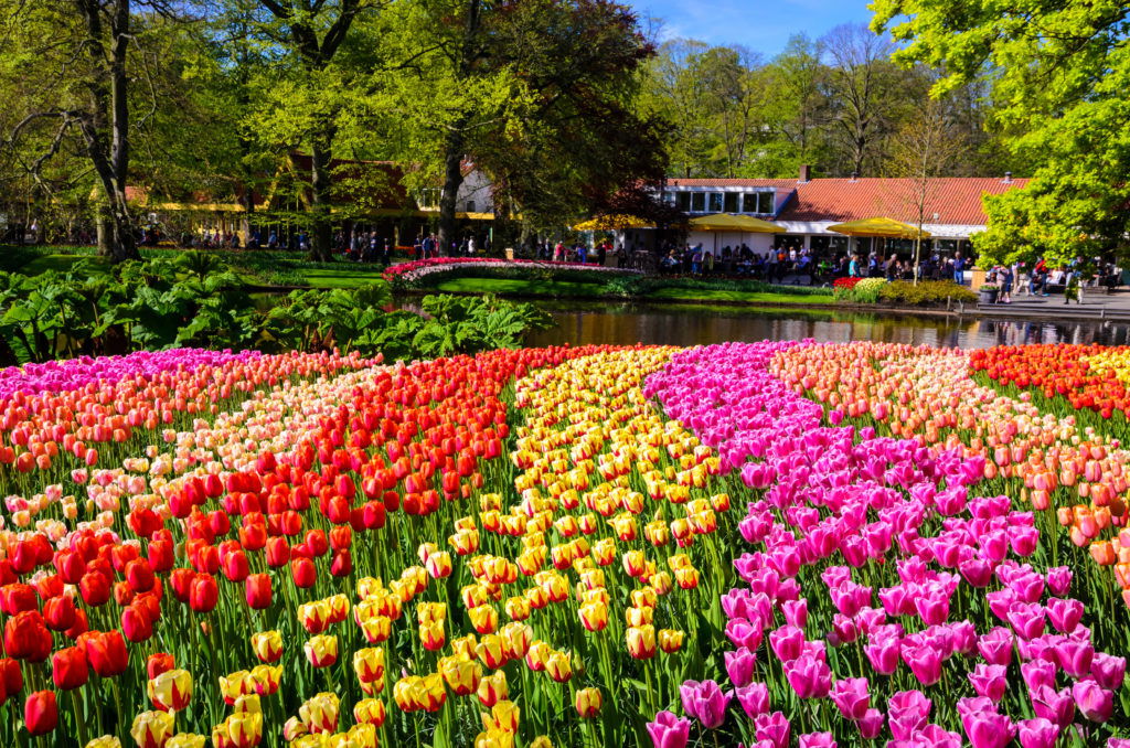 excursiones en ámsterdam
