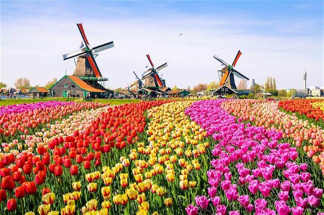 Tour Campiña Holandesa: Edam, Volendam, Marken y Zaanse Schans